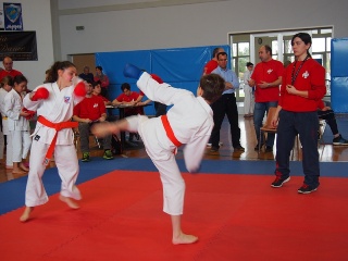 Image description